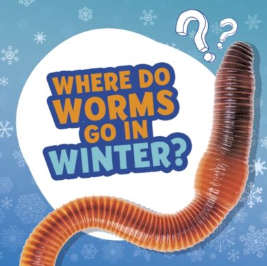 Where Do Worms Go in Winter?