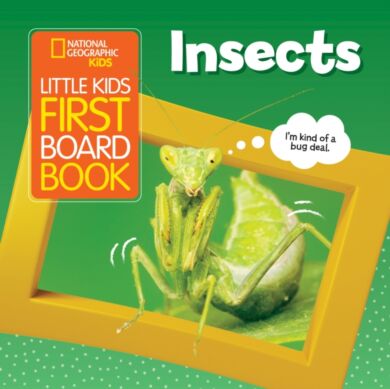 Little Kids First Board Book Insects