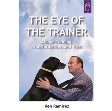 The Eye Of The Trainer