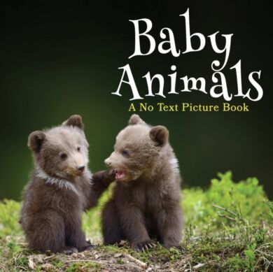 Baby Animals, A No Text Picture Book