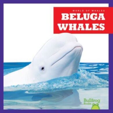 Beluga Whales