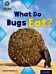 Project X Origins: Light Blue Book Band, Oxford Level 4: Bugs: What Do Bugs Eat?