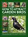 How to Attract Garden Birds