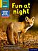 Read Write Inc. Phonics: Fun at night (Yellow Set 5 NF Book Bag Book 8)