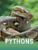 Pythons