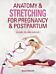 Anatomy & Stretching for Pregnancy & Postpartum