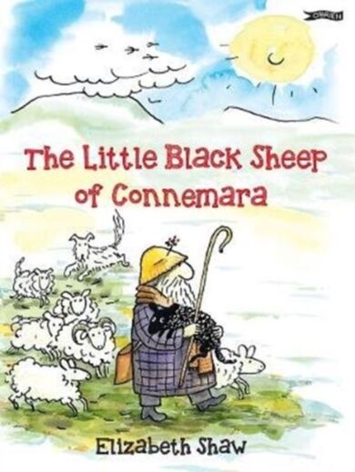 The Little Black Sheep of Connemara