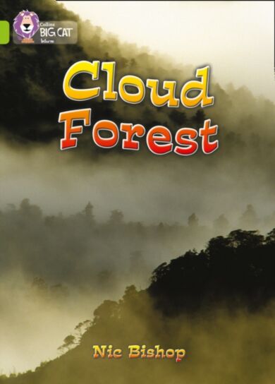 Cloud Forest