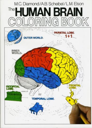 The Human Brain Coloring Book