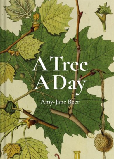 A Tree A Day