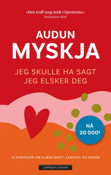 Jeg skulle ha sagt jeg elsker deg