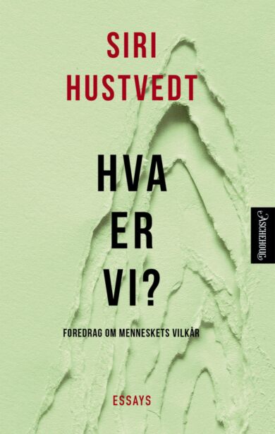 Hva er vi?