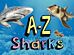 A-Z of Sharks