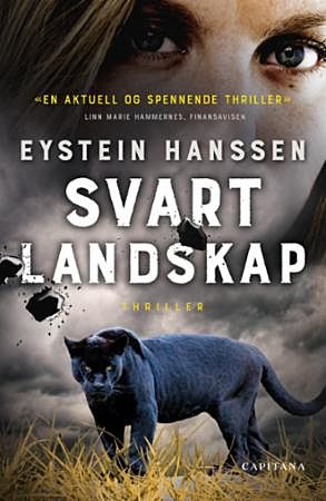 Svart landskap