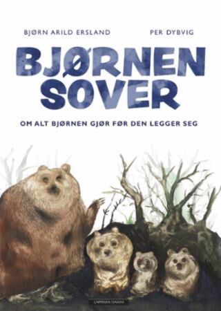 Bjørnen sover