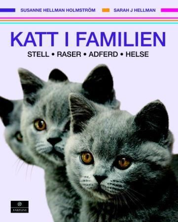 Katt i familien