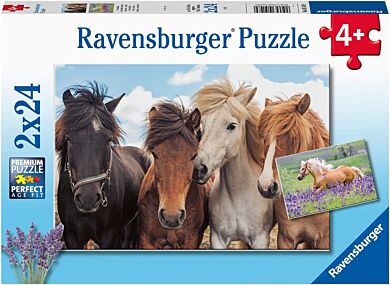 Puslespill 2X24 Hester Ravensburger