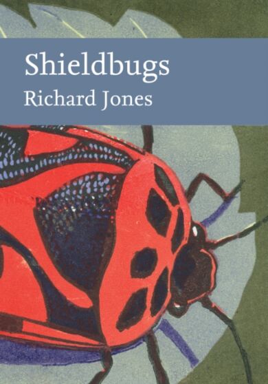 Shieldbugs