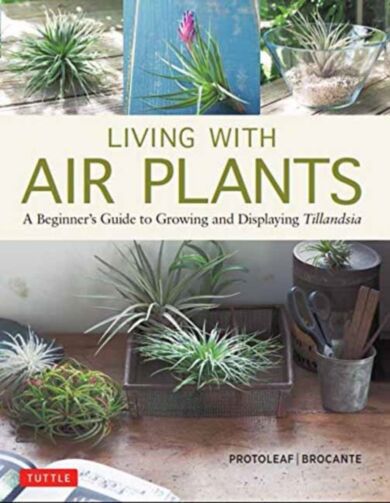 Living with Air Plants