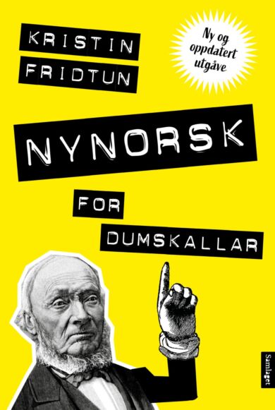 Nynorsk for dumskallar