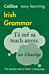 Easy Learning Irish Grammar