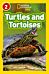 Turtles and Tortoises