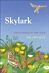 Skylark