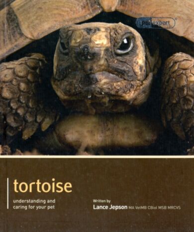 Tortoise - Pet Expert