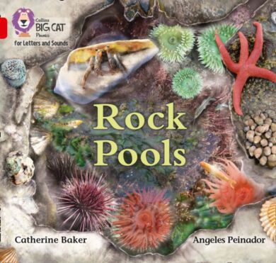 Rock Pools