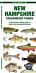 New Hampshire Freshwater Fishes