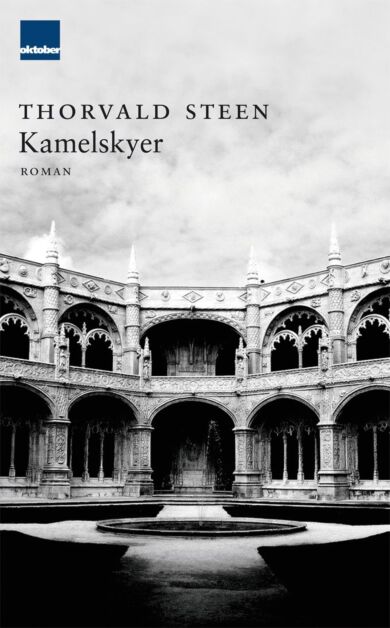 Kamelskyer