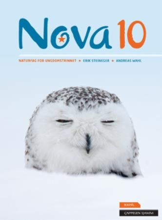 Nova 10