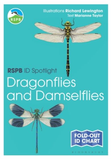 RSPB ID Spotlight - Dragonflies and Damselflies