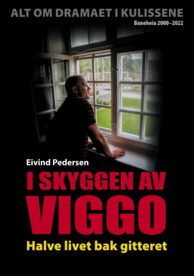 I skyggen av Viggo