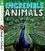 Read with Oxford: Stage 4: Non-fiction: Incredible Animals