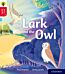 Oxford Reading Tree Story Sparks: Oxford Level 4: The Lark and the Owl