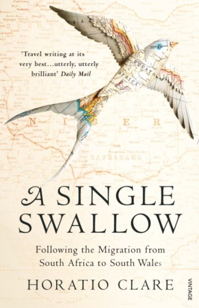 A Single Swallow