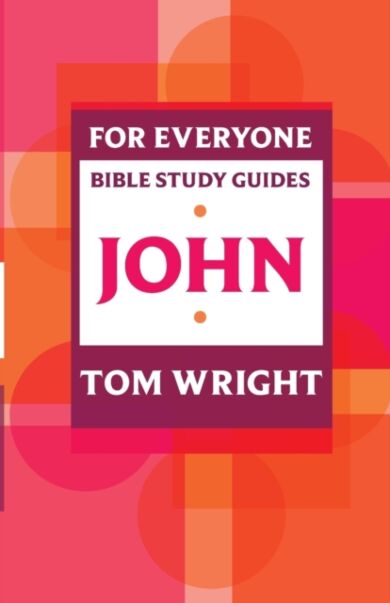 For Everyone Bible Study Guide: John