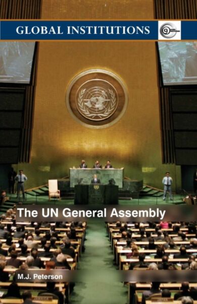 The UN General Assembly