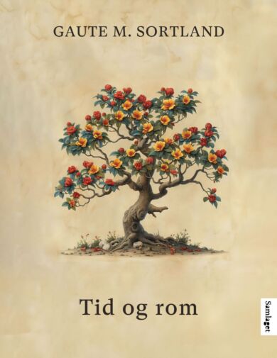 Tid og rom