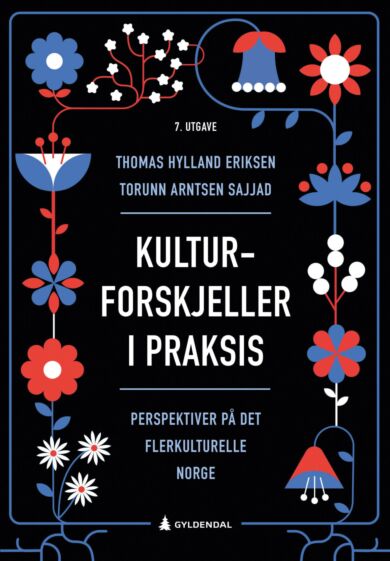 Kulturforskjeller i praksis