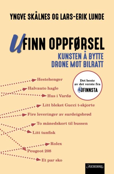 Ufinn oppførsel