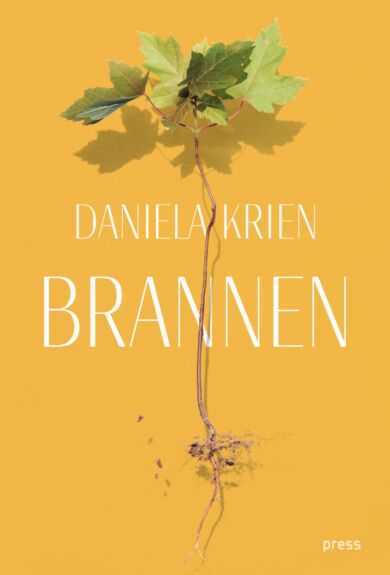 Brannen