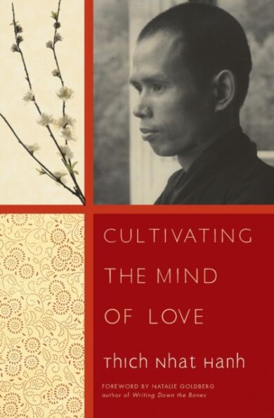 Cultivating the Mind of Love