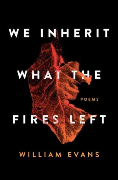 We Inherit What the Fires Left