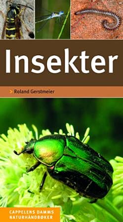 Insekter