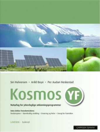 Kosmos YF