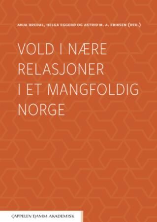 Vold i nære relasjoner i et mangfoldig Norge