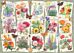 Puslespill 1000 Hage Blomster Ravensburger