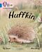 Huffkin